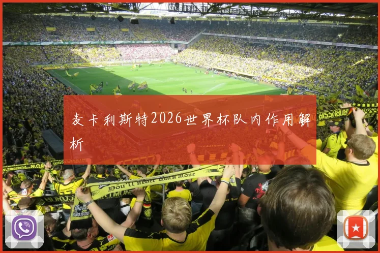 麦卡利斯特2026世界杯队内作用解析