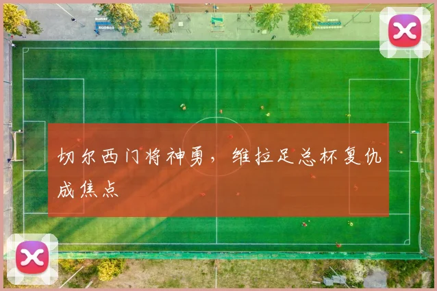 切尔西门将神勇，维拉足总杯复仇成焦点