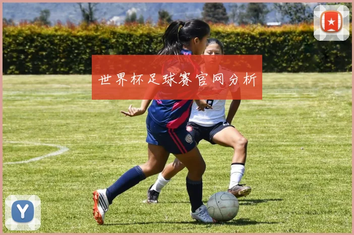 世界杯足球赛官网分析