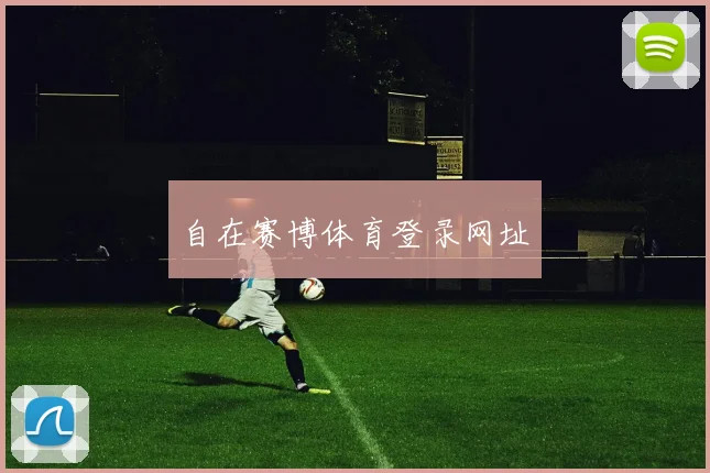 自在赛博体育登录网址