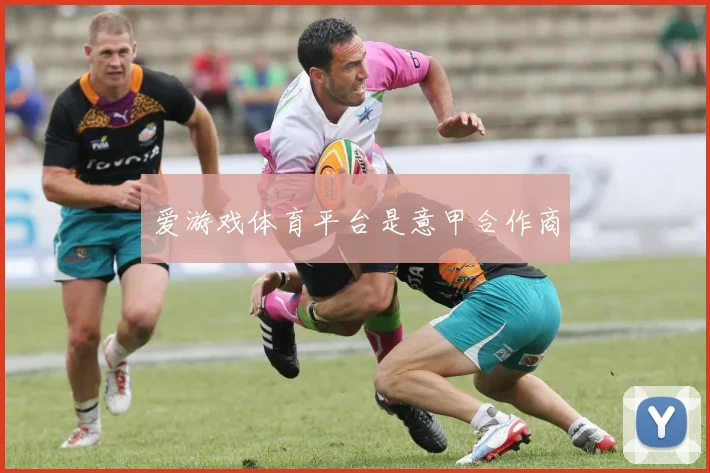 爱游戏体育平台是意甲合作商