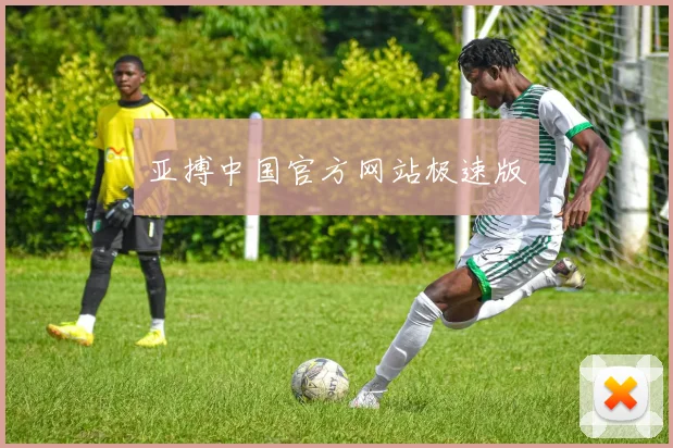 亚搏中国官方网站极速版