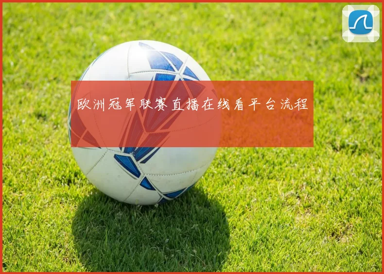欧洲冠军联赛直播在线看平台流程