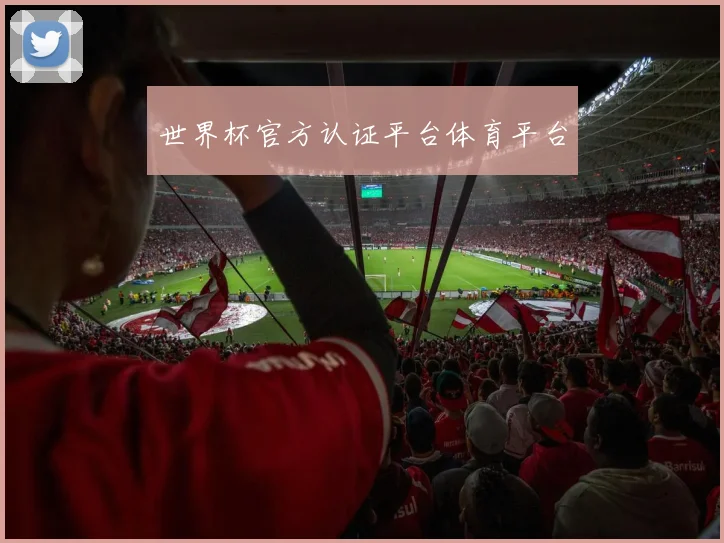 世界杯官方认证平台体育平台