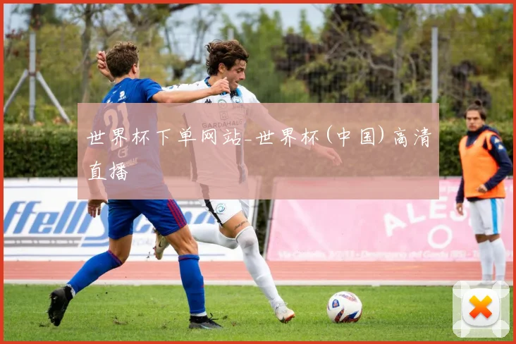 世界杯下单网站_世界杯(中国)高清直播