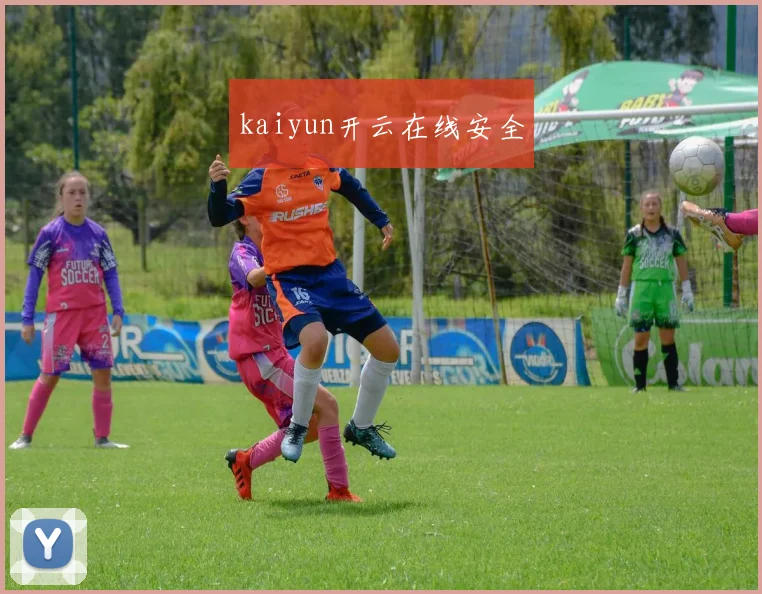 kaiyun开云在线安全