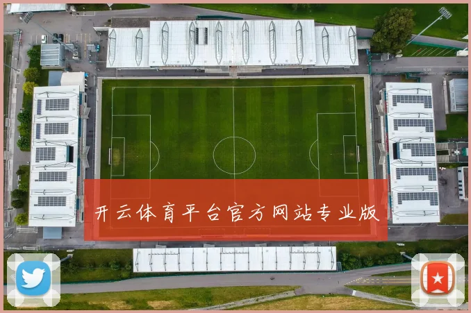 开云体育平台官方网站专业版