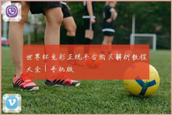 世界杯竞彩正规平台购买解析教程大全|手机版