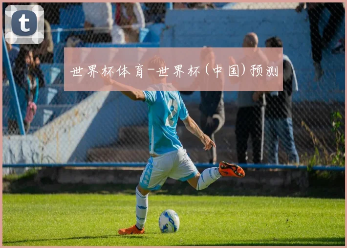 世界杯体育-世界杯(中国)预测