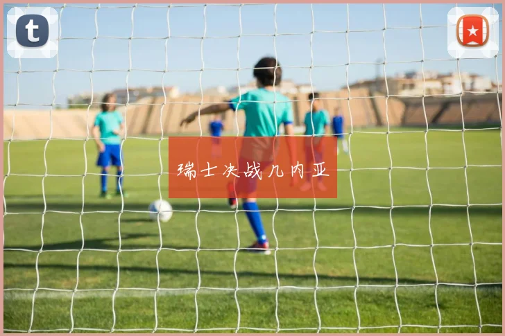 瑞士决战几内亚