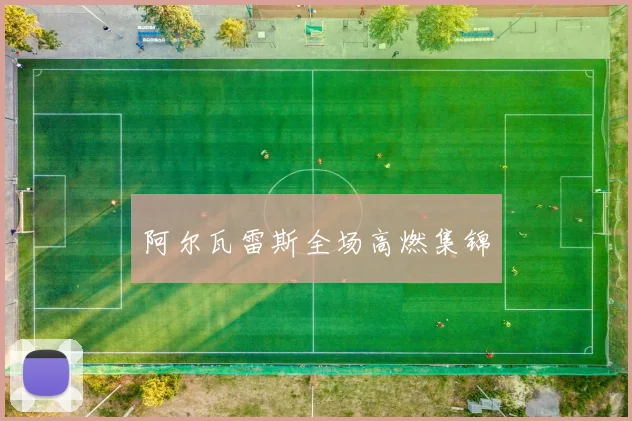 阿尔瓦雷斯全场高燃集锦