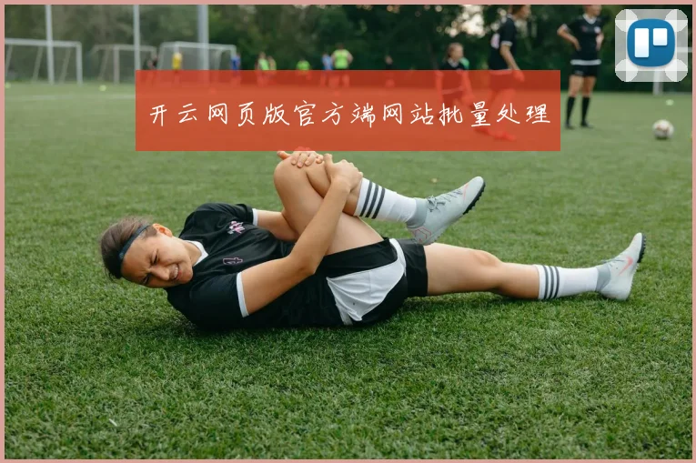 开云网页版官方端网站批量处理