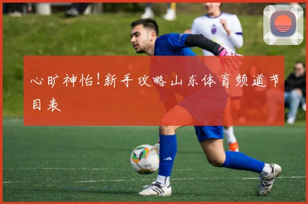 心旷神怡!新手攻略山东体育频道节目表
