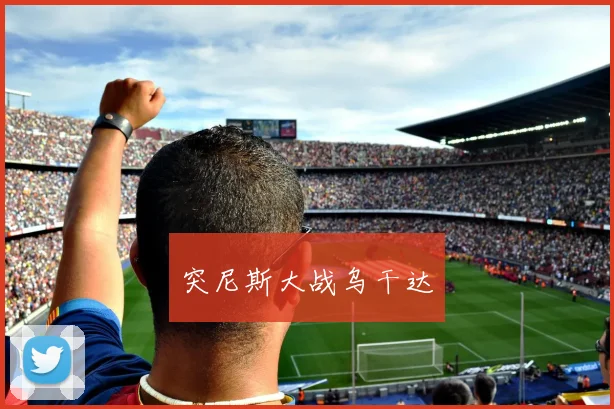 突尼斯大战乌干达