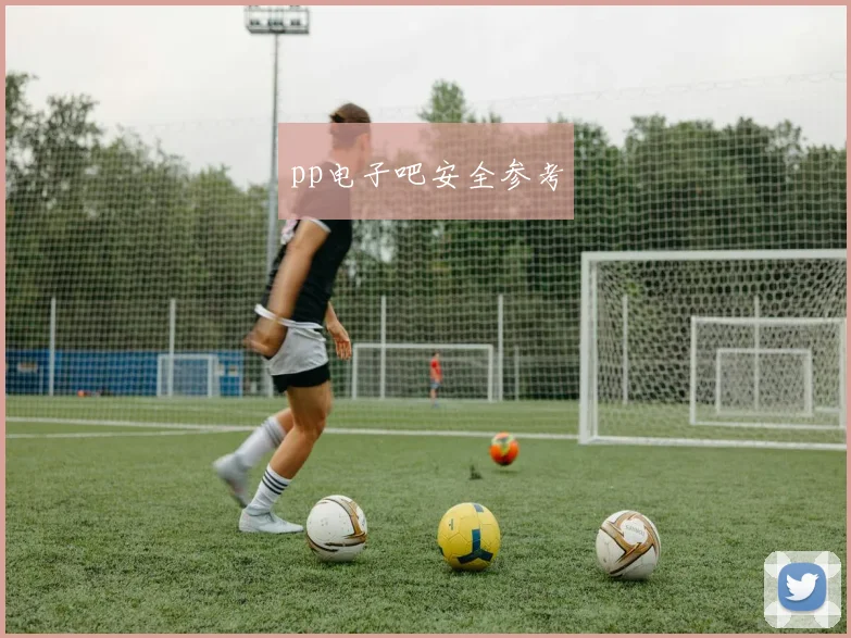pp电子吧安全参考