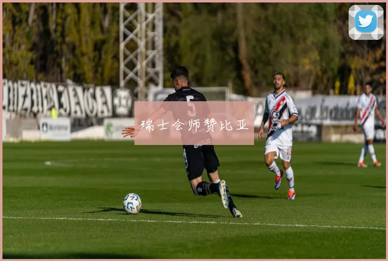瑞士会师赞比亚