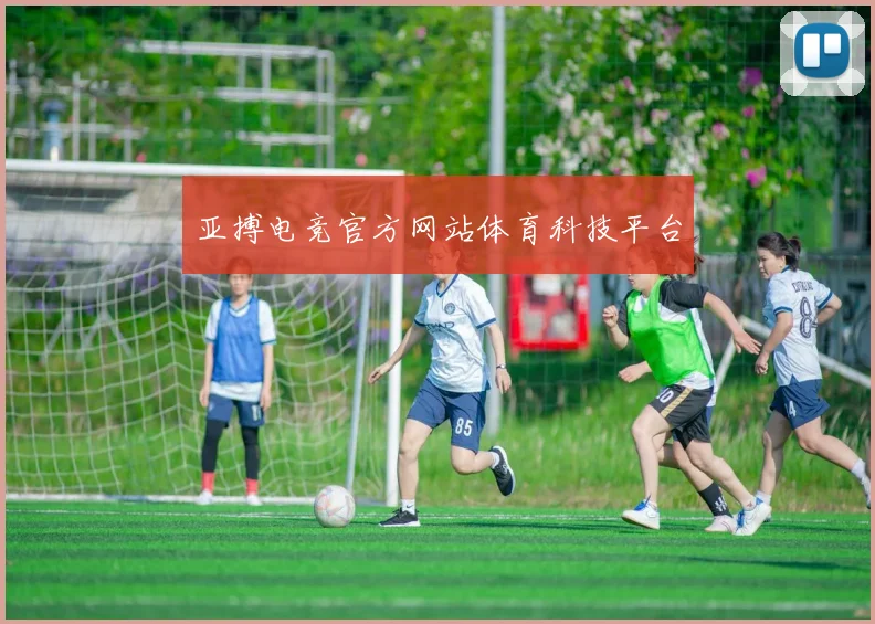 亚搏电竞官方网站体育科技平台