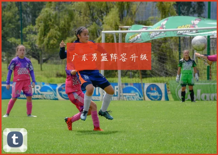 广东男篮阵容升级