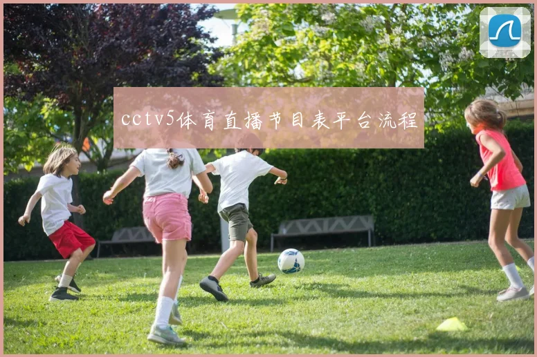 cctv5体育直播节目表平台流程