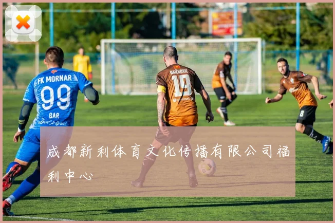成都新利体育文化传播有限公司福利中心