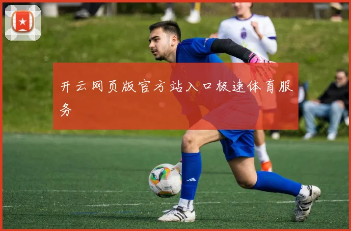 开云网页版官方站入口极速体育服务