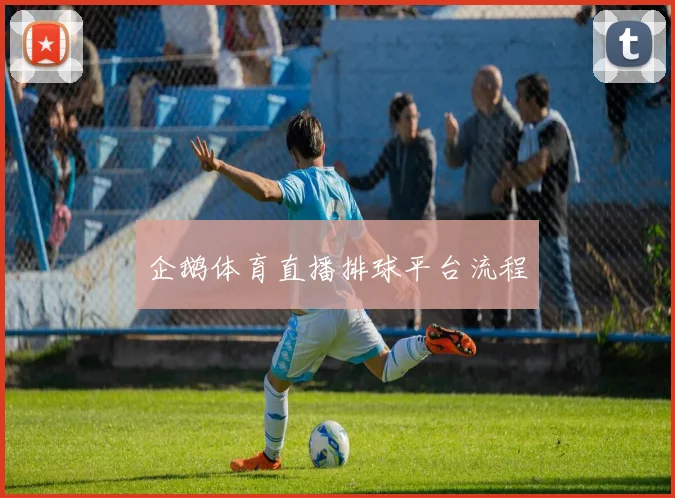 企鹅体育直播排球平台流程