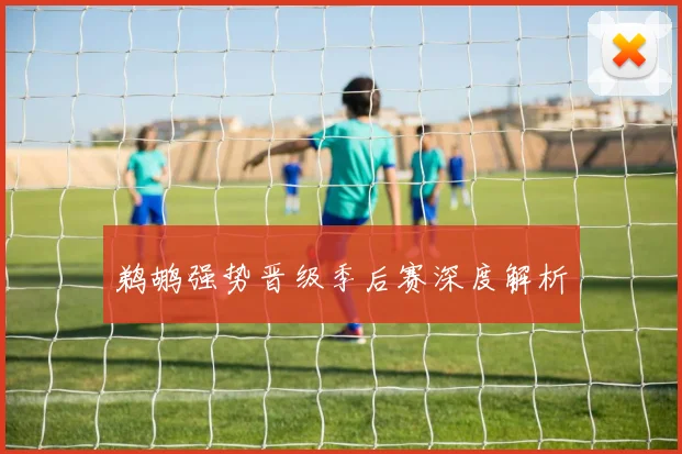 鹈鹕强势晋级季后赛深度解析