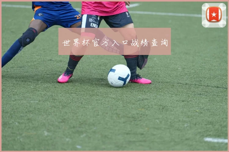 世界杯官方入口战绩查询